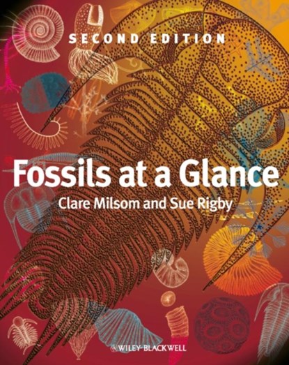 Fossils at a Glance, Clare (Liverpool John Moores University) Milsom ; Sue (University of Edinburgh) Rigby - Paperback - 9781405193368