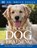 New Pocket Dog Training, Bruce Fogle - Paperback - 9781405305570