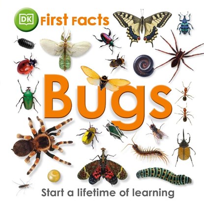 First Facts Bugs, DK - Gebonden - 9781405368131