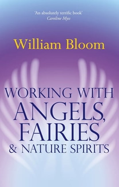 Working With Angels, Fairies And Nature Spirits, Dr. William Bloom - Ebook - 9781405522410