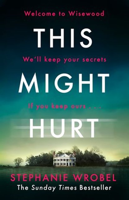 This Might Hurt, Stephanie Wrobel - Ebook - 9781405943567