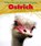 Ostrich, SPILSBURY,  Louise - Gebonden - 9781406219005