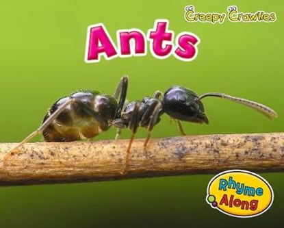 Ants, RISSMAN,  Rebecca - Gebonden - 9781406241303