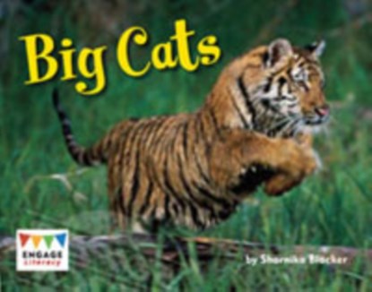 Big Cats, Sharnika Blacker - Paperback - 9781406258004
