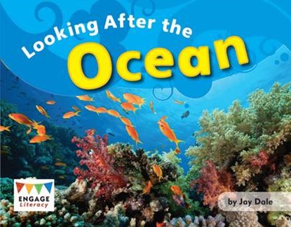 Looking After the Ocean, DALE,  Jay - Paperback - 9781406258356