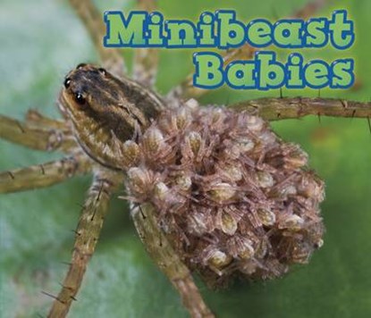 Minibeast Babies, VEITCH,  Catherine - Paperback - 9781406259339