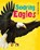 Soaring Eagles, Charlotte Guillain - Paperback - 9781406260892