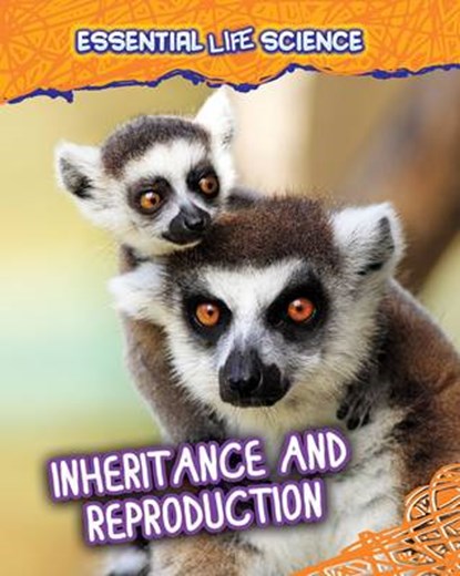 Inheritance and Reproduction, GREEN,  Jen - Paperback - 9781406262377