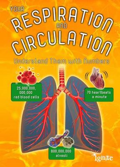Your Respiration and Circulation, WALDRON,  Melanie - Paperback - 9781406274714