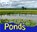 Ponds, Diyan Leake - Paperback - 9781406283952