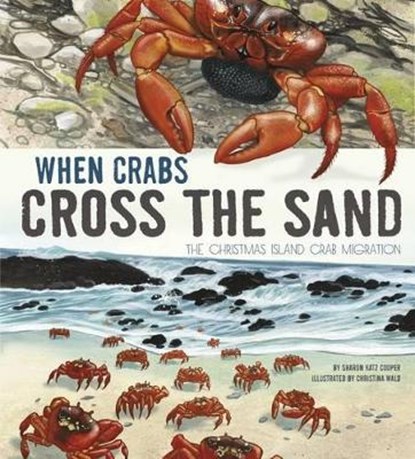 When Crabs Cross the Sand, KATZ COOPER,  Sharon - Paperback - 9781406293425