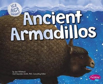 Ancient Armadillos, FRISCH-SCHMOLL,  Joy - Paperback - 9781406293760