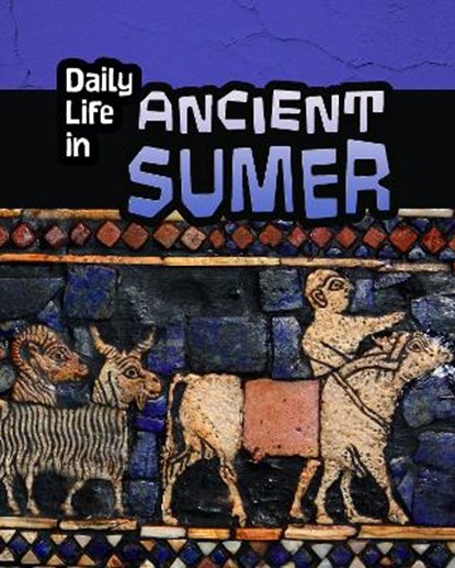 Daily Life in Ancient Sumer, HUNTER,  Nick - Gebonden - 9781406298529