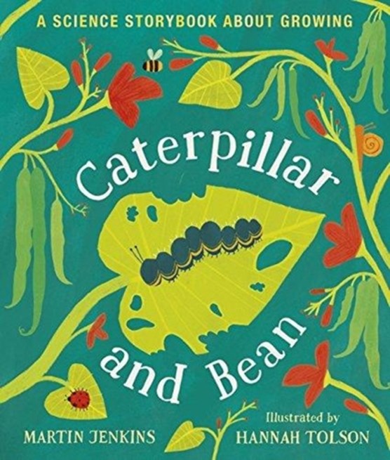 Caterpillar and Bean