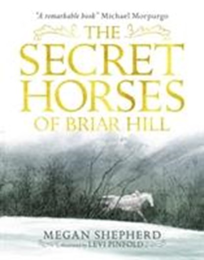 The Secret Horses of Briar Hill, Megan Shepherd - Paperback - 9781406373554