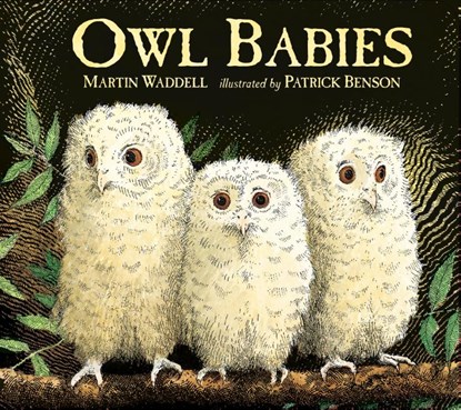 Owl Babies, Martin Waddell - Gebonden - 9781406374377