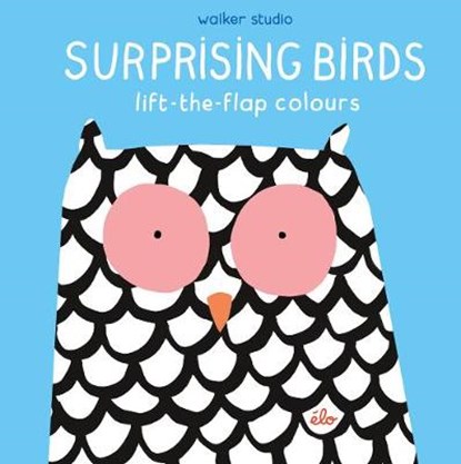 Surprising Birds: Lift-the-Flap Colours, elo - Gebonden Gebonden - 9781406379501