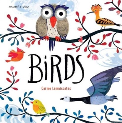Birds, Carme Lemniscates - Gebonden - 9781406387339
