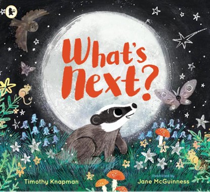 What's Next?, Timothy Knapman - Paperback - 9781406390841