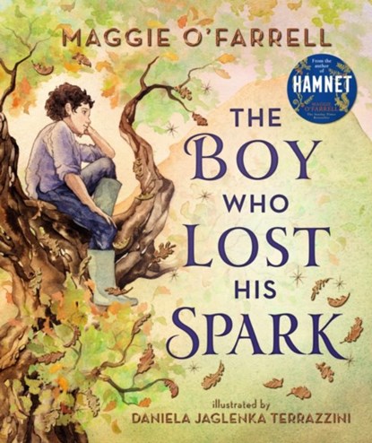 The Boy Who Lost His Spark, Maggie O'Farrell - Gebonden - 9781406392012