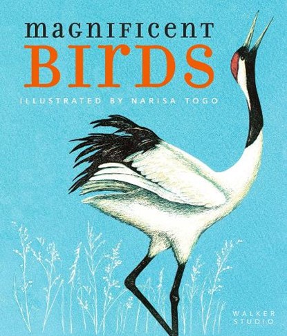 Magnificent Birds, Narisa Togo - Paperback - 9781406393088