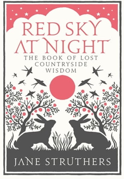 Red Sky at Night, Jane Struthers - Ebook - 9781407029511
