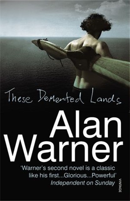 These Demented Lands, Alan Warner - Ebook - 9781407063843