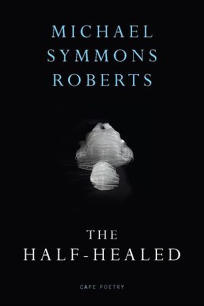The Half Healed, Michael Symmons Roberts - Ebook - 9781407092751