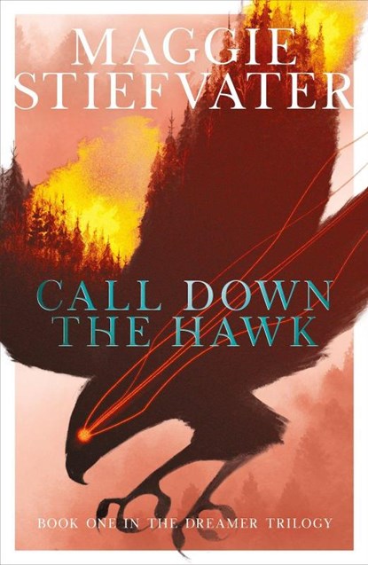 Call Down the Hawk: The Dreamer Trilogy #1, Maggie Stiefvater - Paperback - 9781407194462