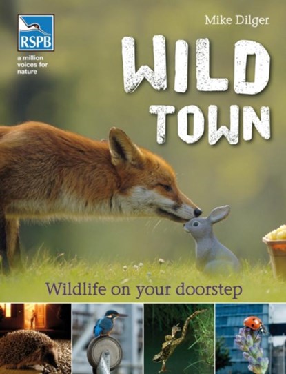 Wild Town, Mike Dilger - Paperback - 9781408173909