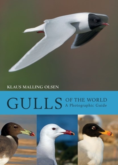 Gulls of the World, Klaus Malling Olsen - Gebonden - 9781408181645