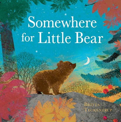 Somewhere for Little Bear, Britta Teckentrup - Gebonden - 9781408359716