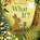 What If?, Britta Teckentrup - Gebonden - 9781408359730
