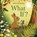 What If?, Britta Teckentrup - Paperback - 9781408359747