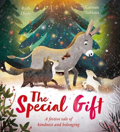 The Special Gift, Ruth Doyle - Gebonden - 9781408369166