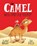 The Camel Who Had The Hump Board Book, Rachel Bright - Gebonden - 9781408375723