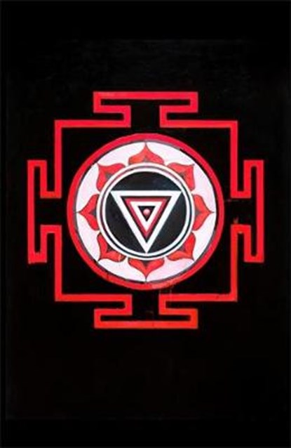 The Mountain Shadow, ROBERTS,  Gregory David - Paperback - 9781408701621