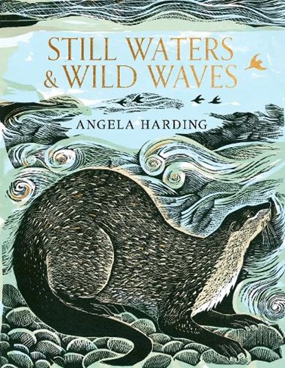 Still Waters & Wild Waves, Angela Harding - Gebonden - 9781408726815