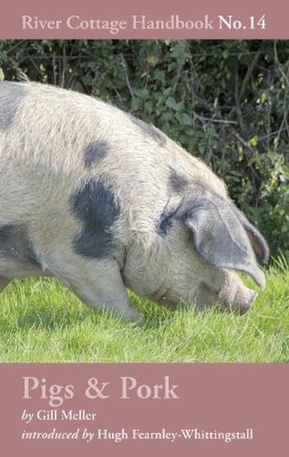 Pigs & Pork, Gill Meller - Gebonden Gebonden - 9781408817926