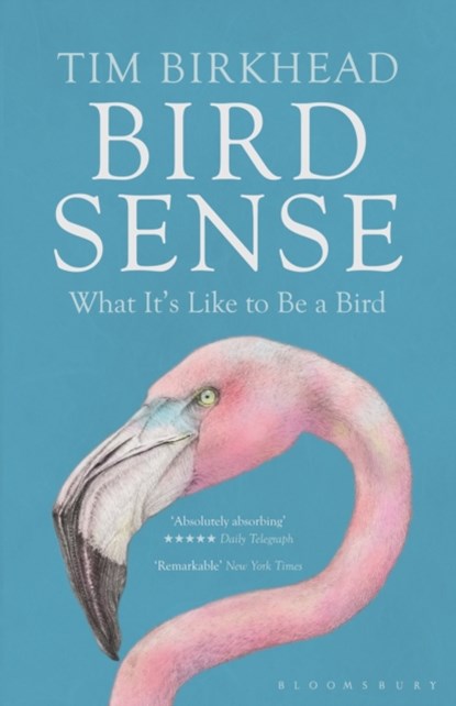 Bird Sense, Tim Birkhead - Paperback - 9781408830543