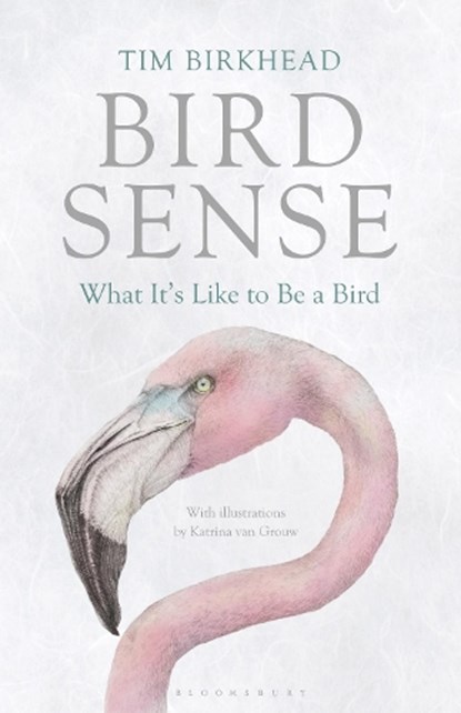 Bird Sense, Tim Birkhead - Paperback - 9781408830543