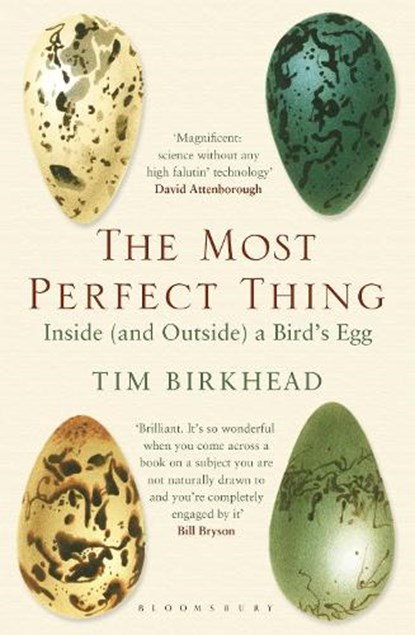 The Most Perfect Thing, Tim Birkhead - Paperback - 9781408851272
