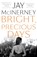Bright, Precious Days, Jay McInerney - Paperback - 9781408876558