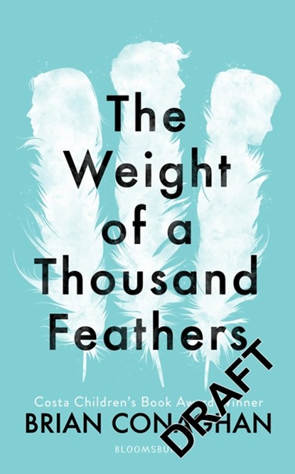 The Weight of One Thousand Feathers, CONAGHAN,  Brian - Paperback - 9781408889121