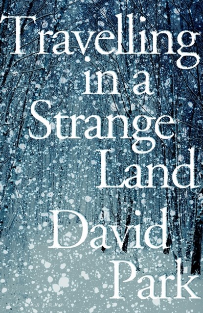 Travelling In A Strange Land EXPORT, PARK,  David - Gebonden - 9781408892794