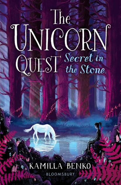 Secret in the Stone, Kamilla Benko - Paperback - 9781408898512