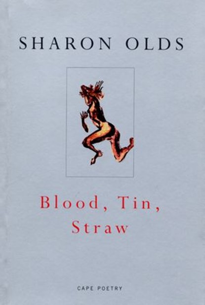 Blood, Tin, Straw, Sharon Olds - Ebook - 9781409001287