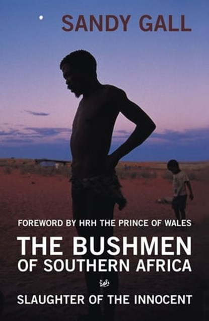The Bushmen of Southern Africa, Sandy Gall - Ebook - 9781409002727
