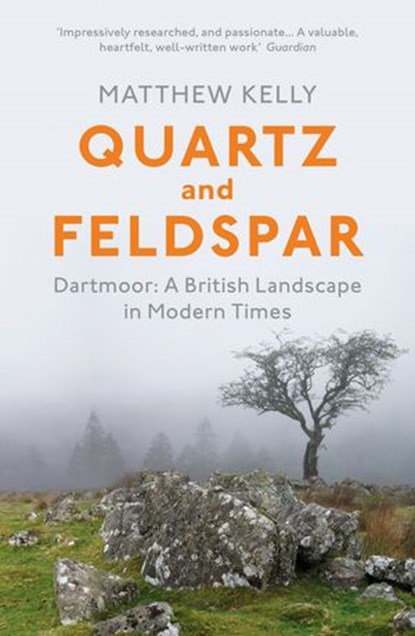 Quartz and Feldspar, Matthew Kelly - Ebook - 9781409029793