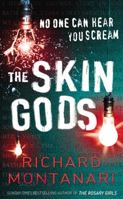 The Skin Gods, Richard Montanari - Ebook - 9781409036289
